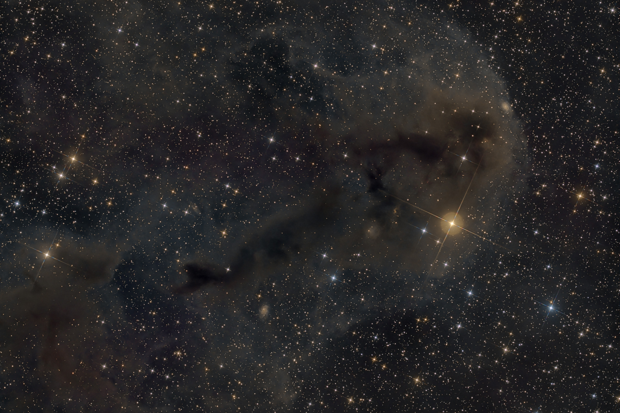 Large amounts of interstellar matter can be found in the Cepheus/Cassiopeia region. Here also lies the little-known dark nebula LDN 1251 from the Lynds catalog of dark nebulae.